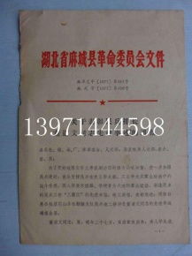 紅色記憶的載體 文革時(shí)期的書籍報(bào)刊與文獻(xiàn)檔案
