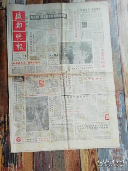 紅色印記 文革時期書籍報刊的文獻價值與歷史反思